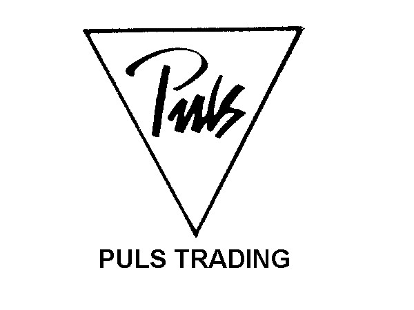 VĂN PHÒNG ĐẠI DIỆN PULS TRADING FAR EAST LIMITED TẠI THÀNH PHỐ HỒ CHÍ MINH